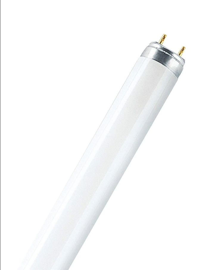 OSRAM L36W/530 T8 TUBE - High output T8 fluorescent tube with cool white 530 hue, suitable for bright industrial and office lighting